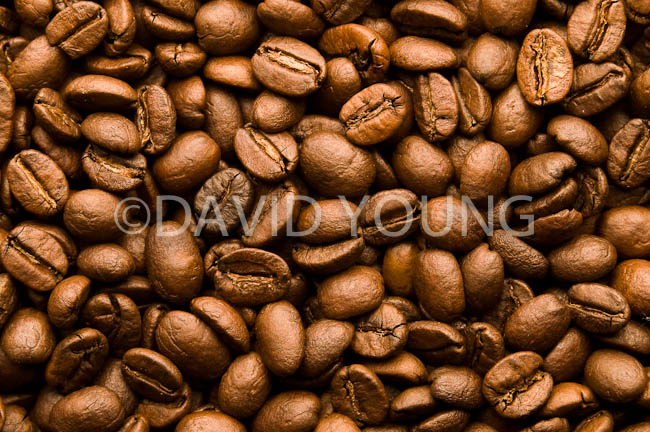 coffee beans02