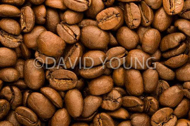 coffee beans04